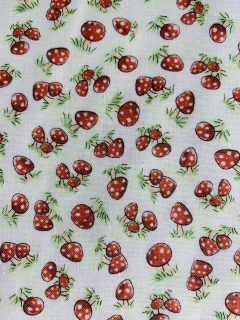 Mushrooms - muchomůrky